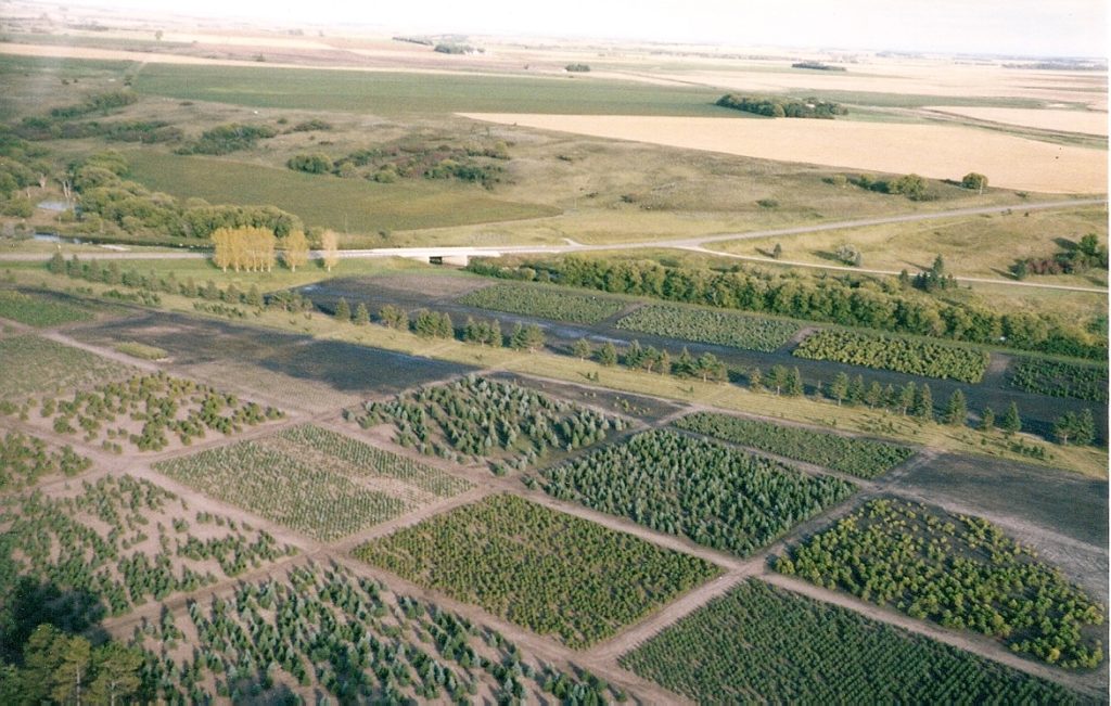 ND Nursery