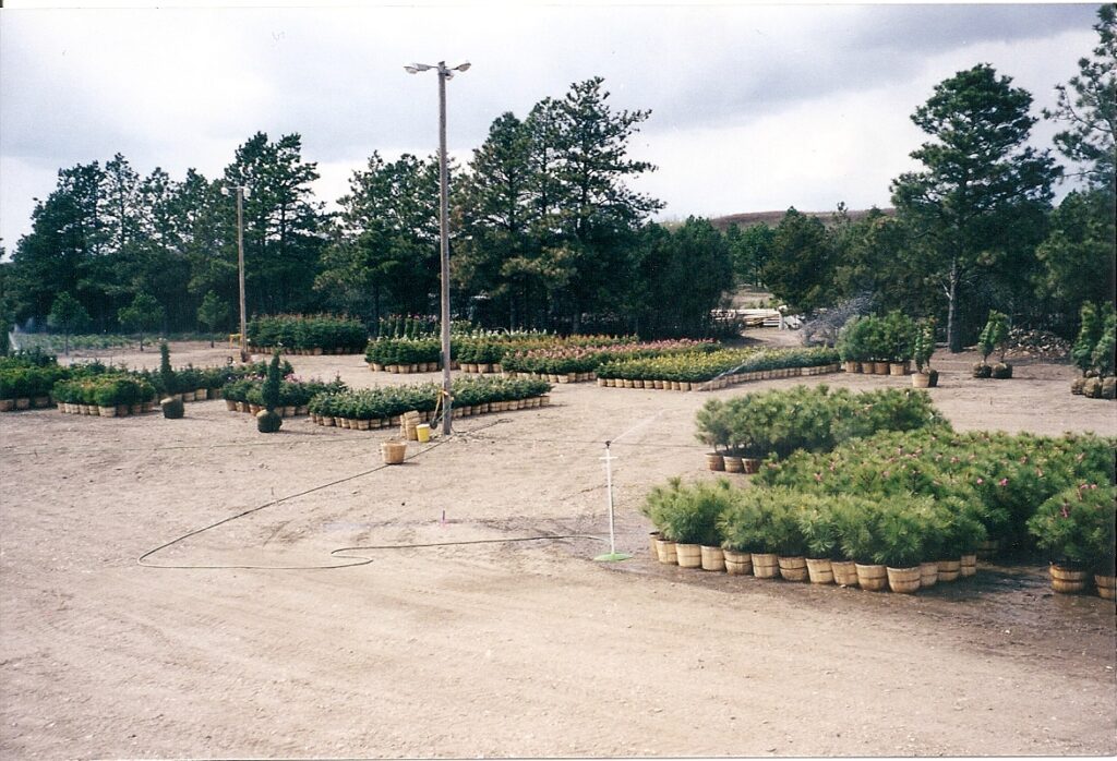 scan0037
