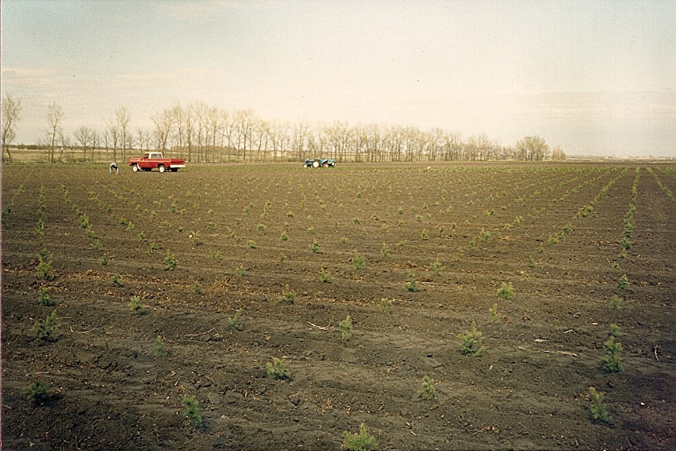 scan0039