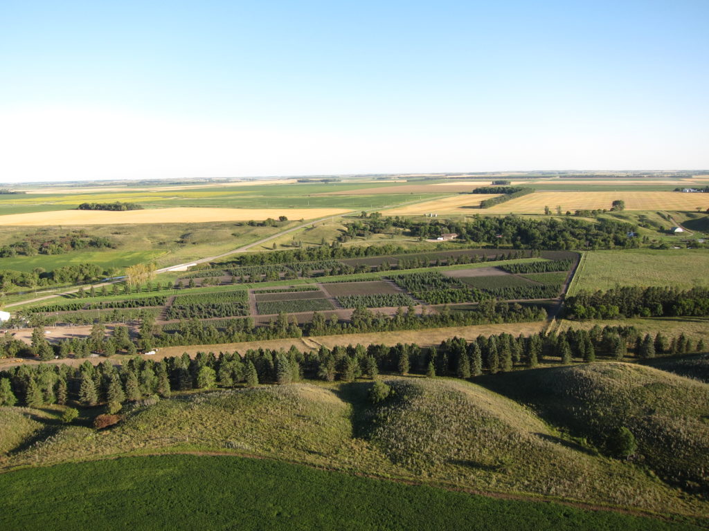 Sony Chip 2 165 1 1024x768