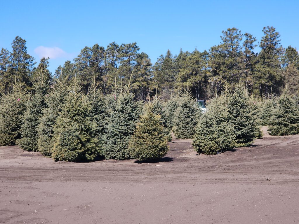 20240403 114049 1024x768